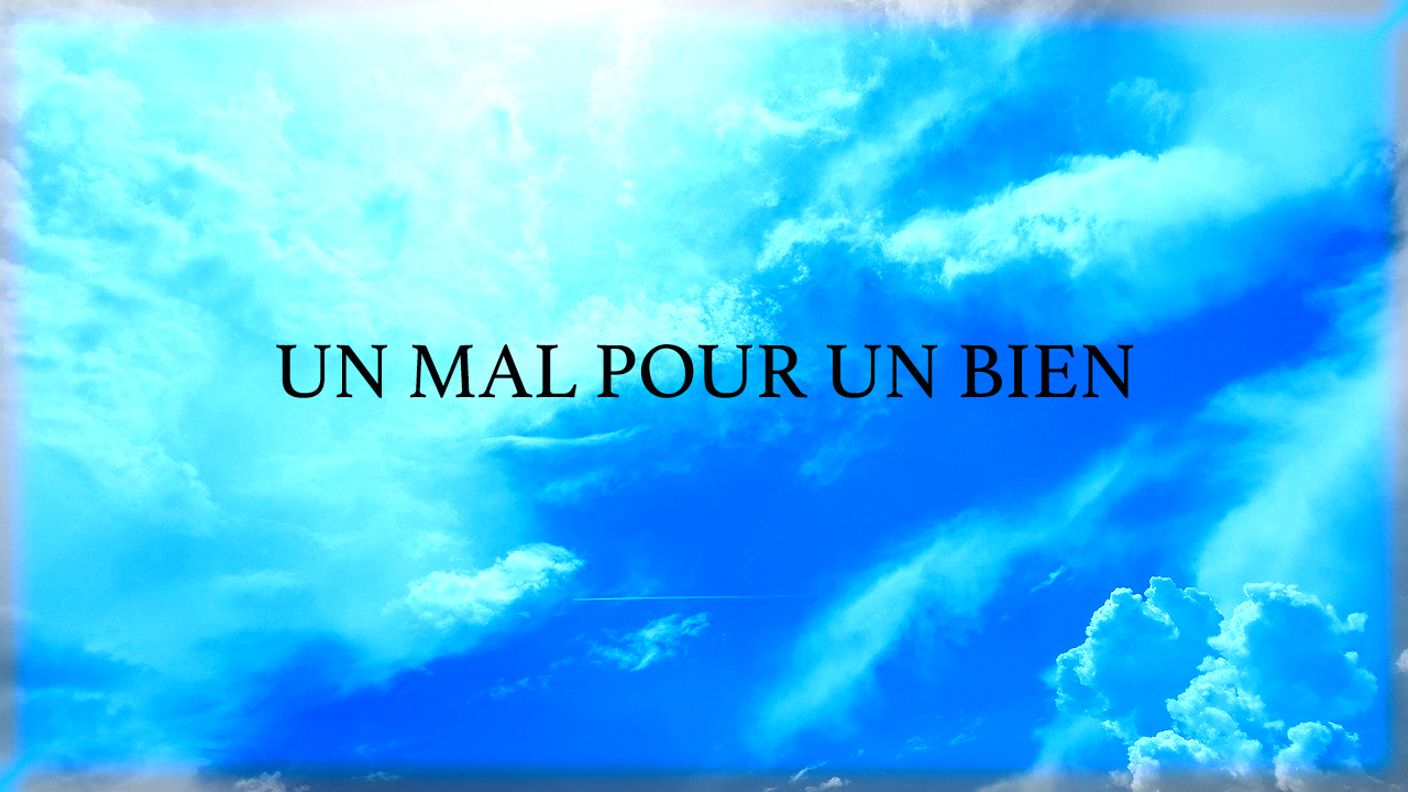 Un mal pour un bien Frédérique Shine